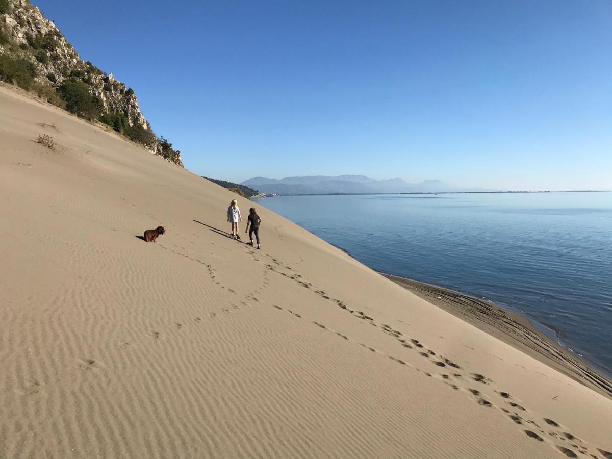 Beachfront, Tirana Guest House Velipojë 外观 照片