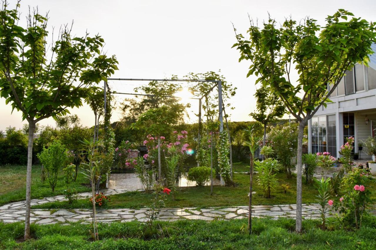 Beachfront, Tirana Guest House Velipojë 外观 照片