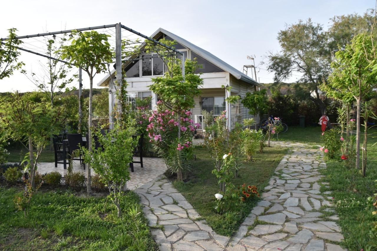 Beachfront, Tirana Guest House Velipojë 外观 照片