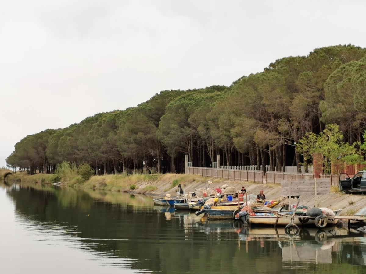 Beachfront, Tirana Guest House Velipojë 外观 照片